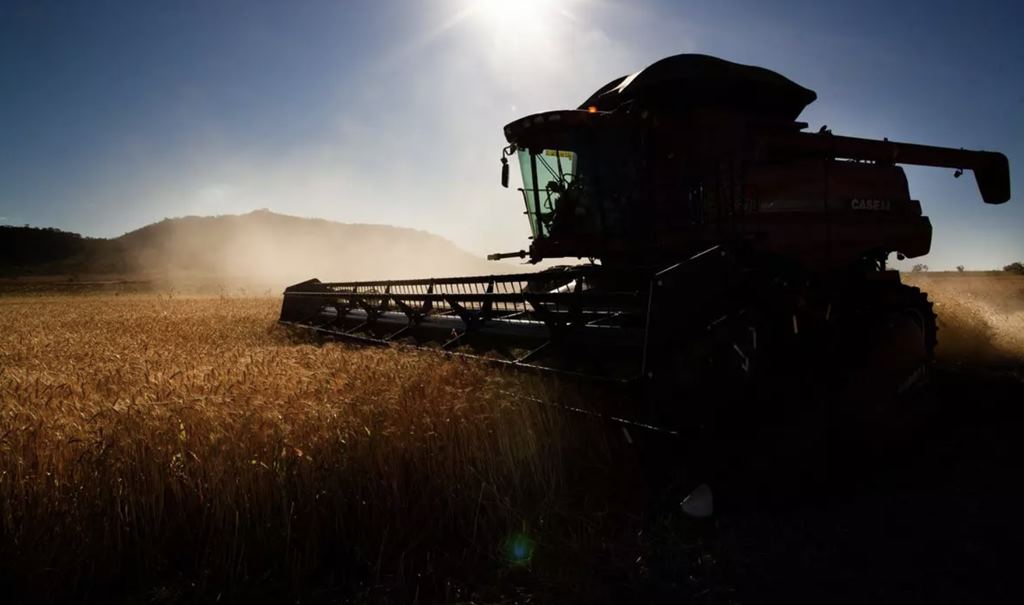 Produção agroindustrial cresce 3,4% em novembro, diz FGV Agro.jpg